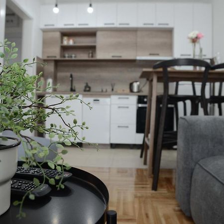 Apartment Dobraya Grey 노비사드 외부 사진