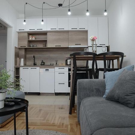 Apartment Dobraya Grey 노비사드 외부 사진