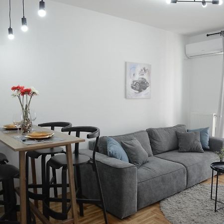 Apartment Dobraya Grey 노비사드 외부 사진