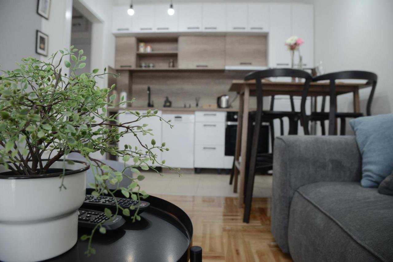 Apartment Dobraya Grey 노비사드 외부 사진